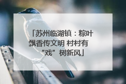 苏州临湖镇：粽叶飘香传文明 村村有“戏”树新风